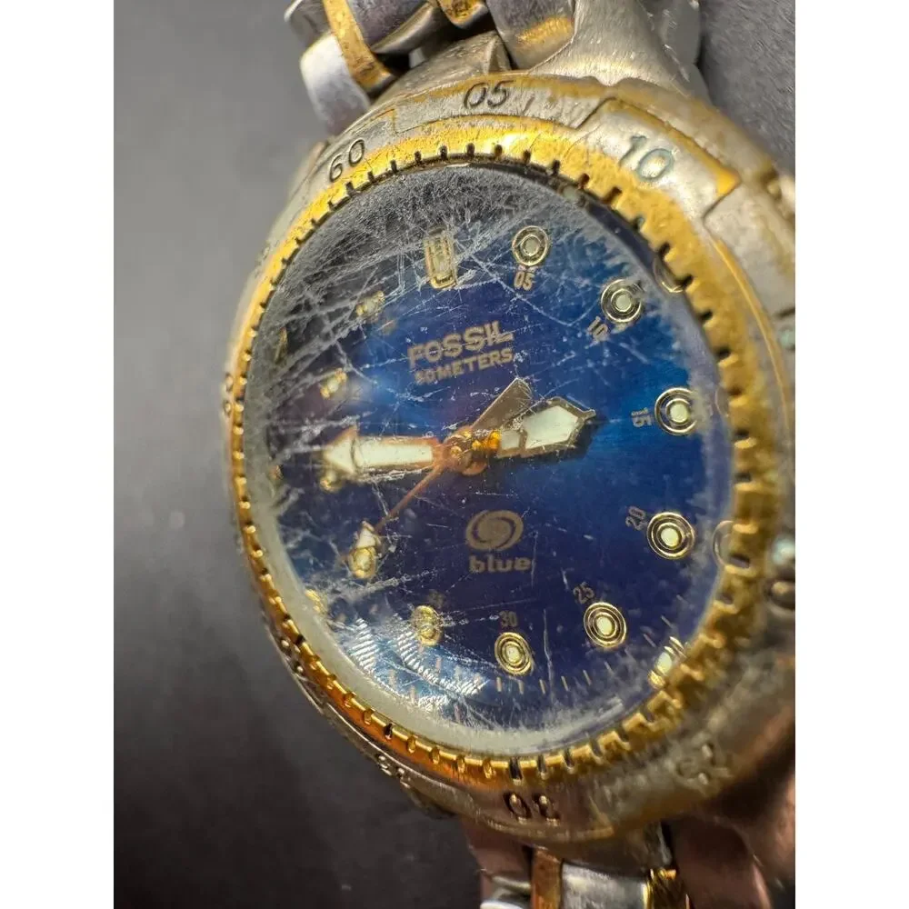 Fossil blue diver